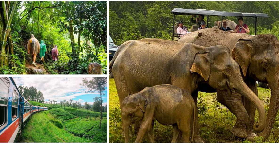 Sri Lanka Green Bless- Ultimate 2 Days Trip to Enjoy Nature - Traveler Reviews and Feedback