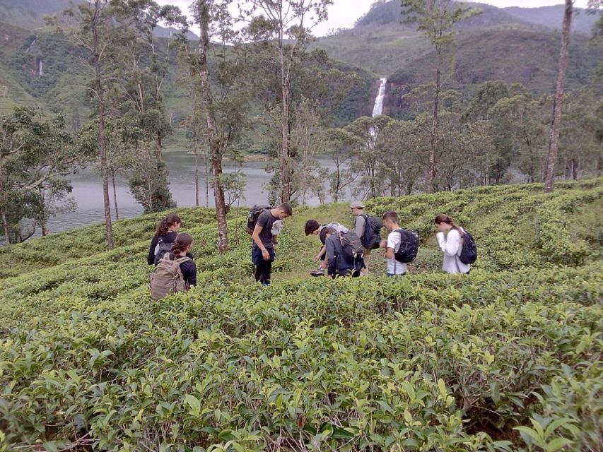 Sri Lanka Holidays With 5 Days Trekking the Pekoe Trail - Accommodation Details