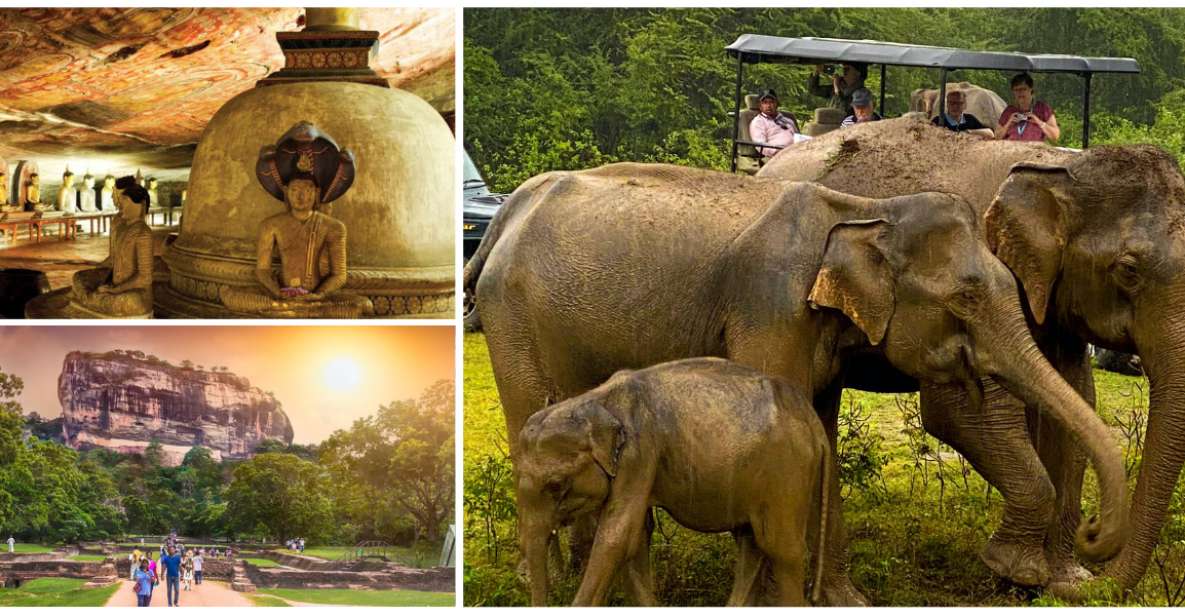 Sri Lanka: Western Province Highlights Day Tour and Safari - 4x4 Jeep Safari at Minneriya National Park