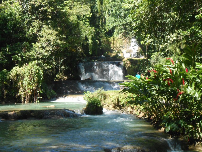 St Elizabeth: River Safari and Y.S. Falls With Lunch - Bamboo Avenue Exploration