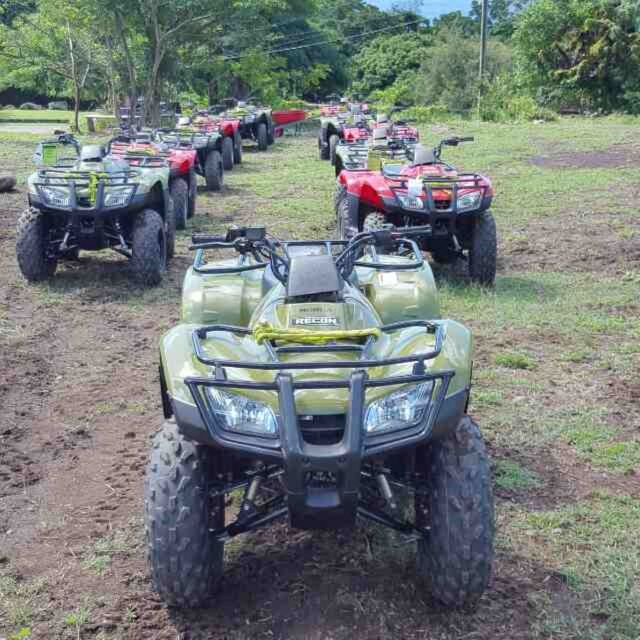 St. Kitts: Jungle Bikes ATV and Beach Guided Tour - Experience Highlights and Activity Reservations