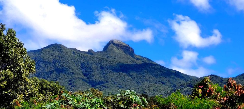 St. Kitts Mount Liamuiga Volcano Hike - Customer Reviews