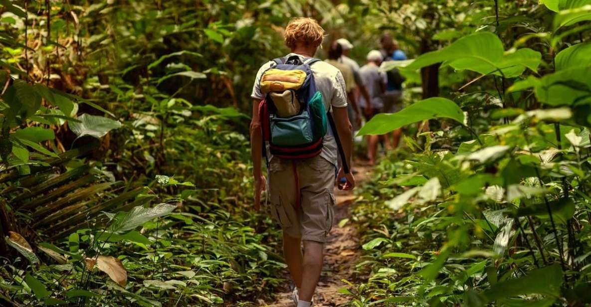 St. Kitts: Rainforest Eco Adventure Guided Hike - Experience Highlights