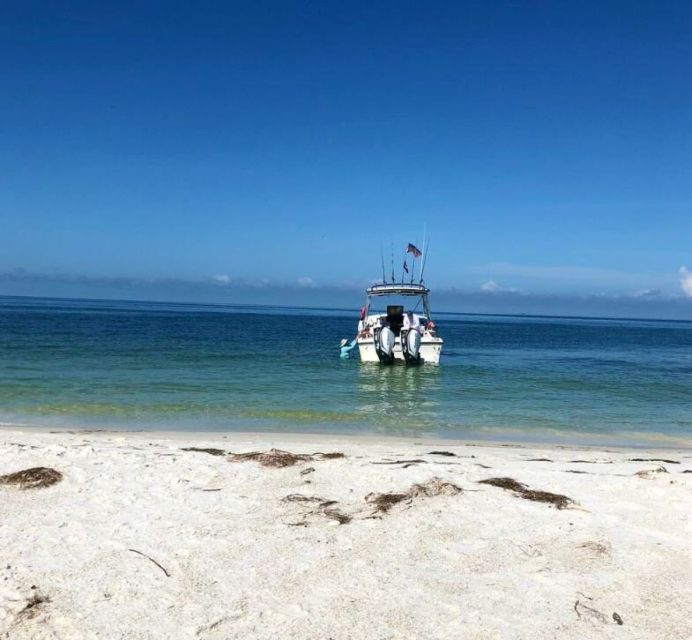 St. Petersburg, FL: Private Florida Gulf 6-Hour Boat Tour - Full Description