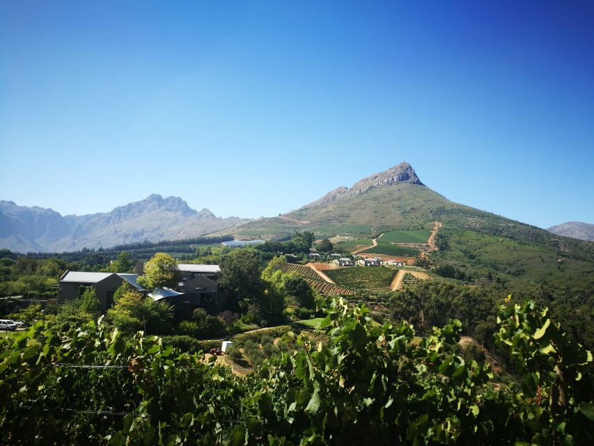 Stellenbosch: Half-Day Guided Nature Hike and Wine Tasting - Inclusions