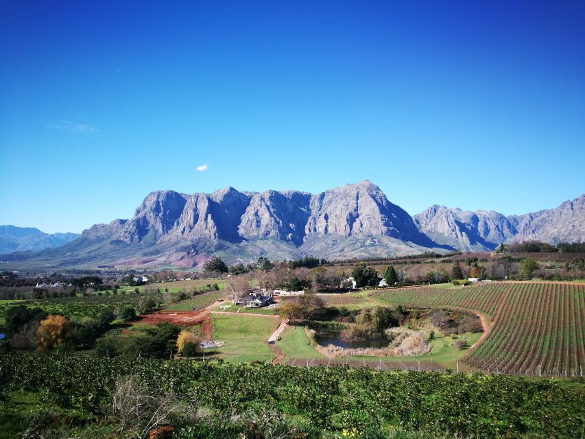 Stellenbosch: Stellenbosch Private E-Bike & Wine Tour - Language and Group