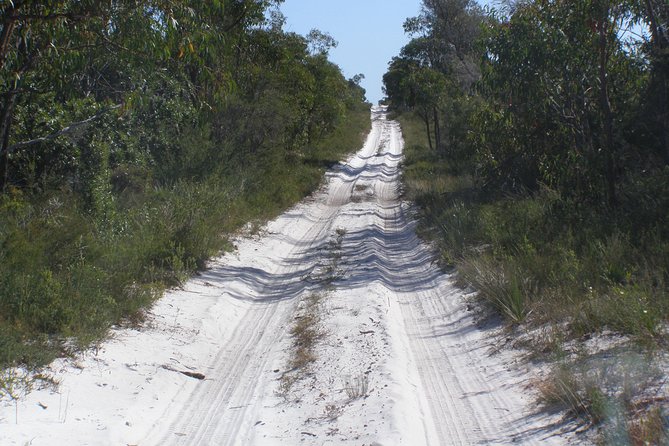 Stradbroke Island 4WD Day Trip From Brisbane - Traveler Testimonials