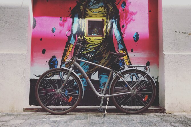 Street Art Private Bike Tour - Reviews and Ratings