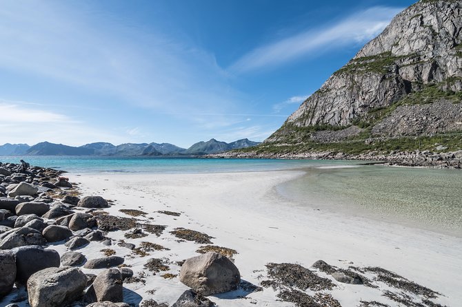 Summer Full-Day Guided Tour of the Lofoten Islands - Booking Information
