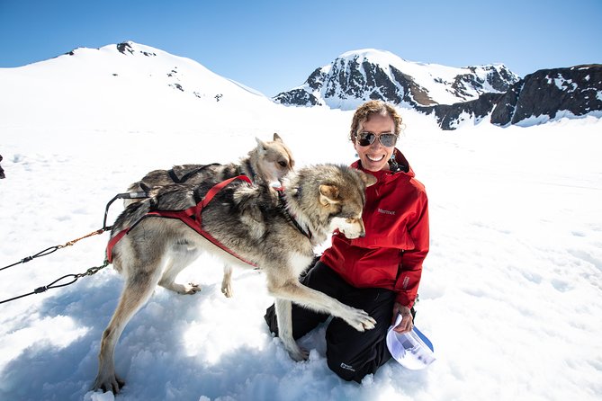 Summer Glacier Dogsledding Tour From Girdwood - Traveler Reviews