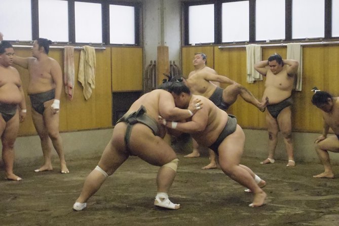 Sumo Morning Practice Tour at Stable in Tokyo - Witness Training Sessions