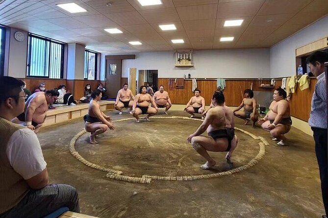 Sumo Morning Practice Tour in Tokyo, Sumida City - Reviews