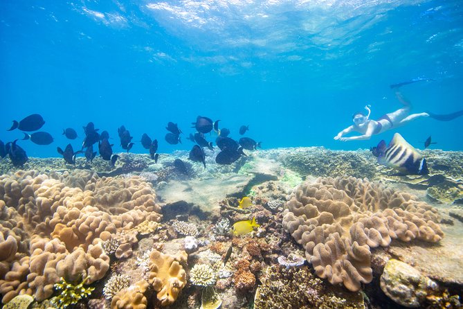 Sunlover Reef Cruises Cairns Great Barrier Reef Experience - Additional Information