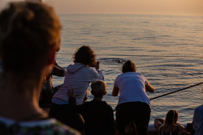 Sunrise Boat Trip in Mallorca With Dolphin-Watching - Viator Support Information