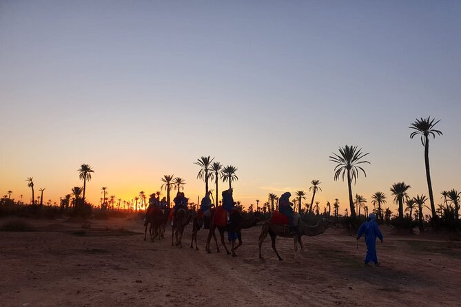 Sunset Camel Ride Marrakech Palmeraie - Reviews and Testimonials