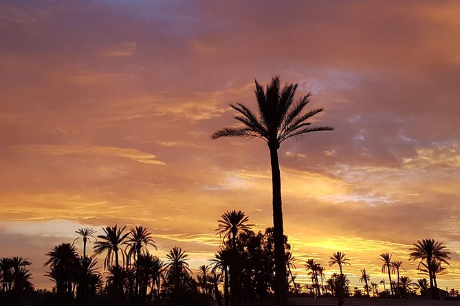 Sunset Camel Ride Tour in Marrakech Palm Grove - Cancellation Policy