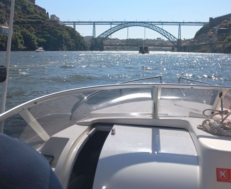 Sunset Cruise on the Douro River - Highlights of the Sunset Experience