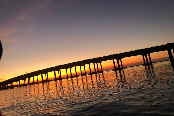 Sunset Dolphin Watching Cruise in Destin Harbor - Customer Reviews and Feedback