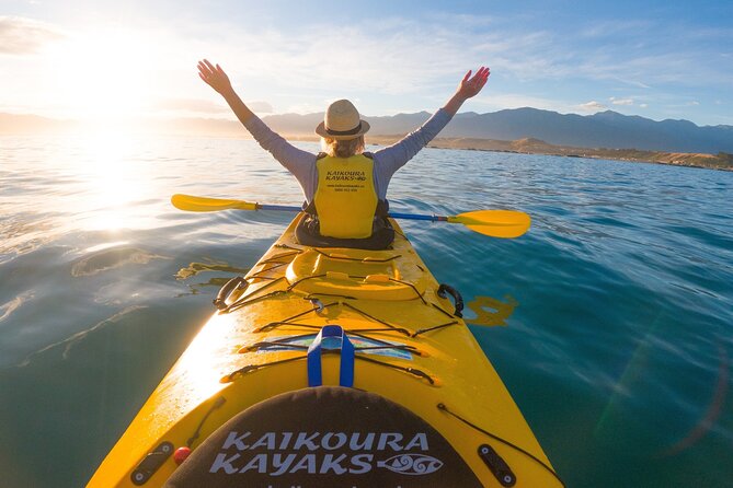 Sunset Evening Kayaking Tour - Kaikoura - Meeting Information