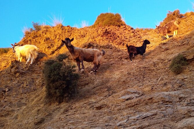 Sunset Jeep Tour in Crete - Sunset at Karfi