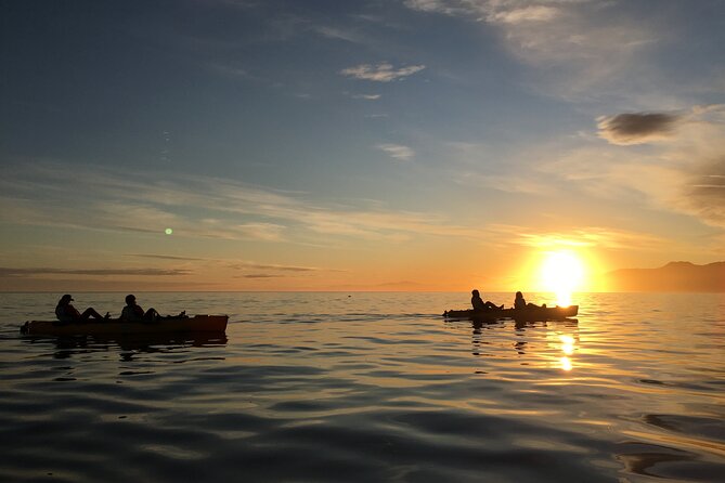 Sunset Kayak Tour in Kaikoura - Reviews and Ratings