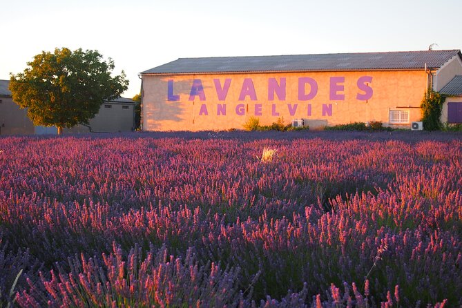 Sunset Lavender Tour From Aix-En-Provence - Tour Highlights and Experiences