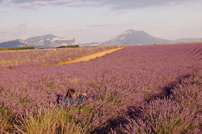 Sunset Lavender Tour in Valensole With Pickup From Marseille - Traveler Photos and Reviews