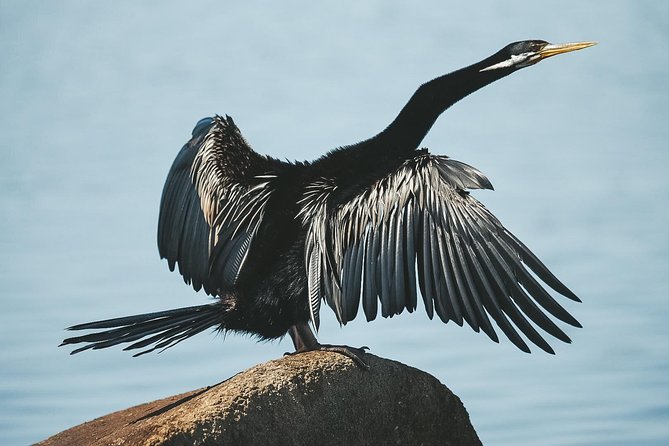 Sunset River Cruise Near Byron Bay - Cancellation Policy Details