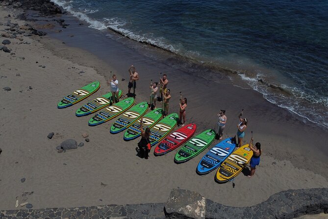 SUP Standup Paddling and Snorkeling Shared Experience - Customer Reviews