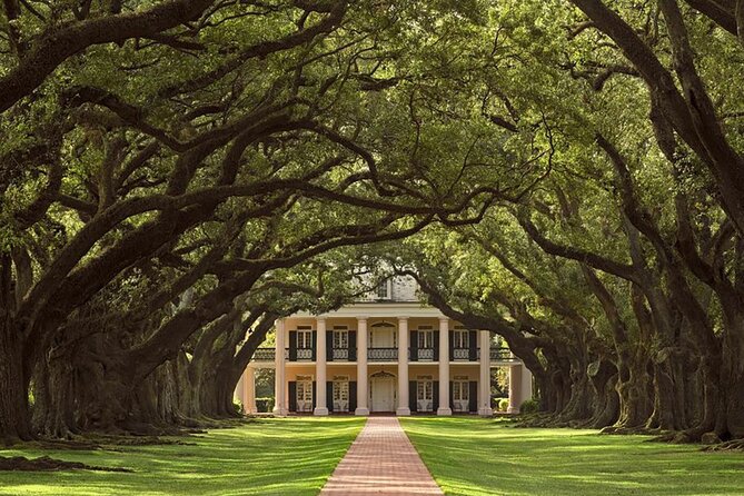 Swamp Boat Ride and Oak Alley Plantation Tour From New Orleans - Customer Reviews