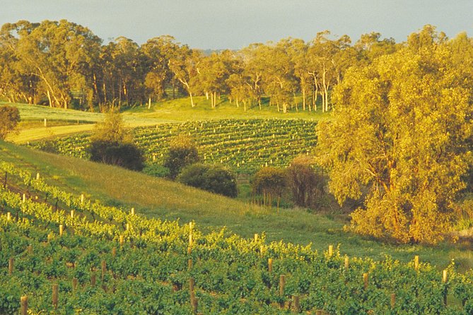 Swan Valley Private Tour - Cancellation Policy Details