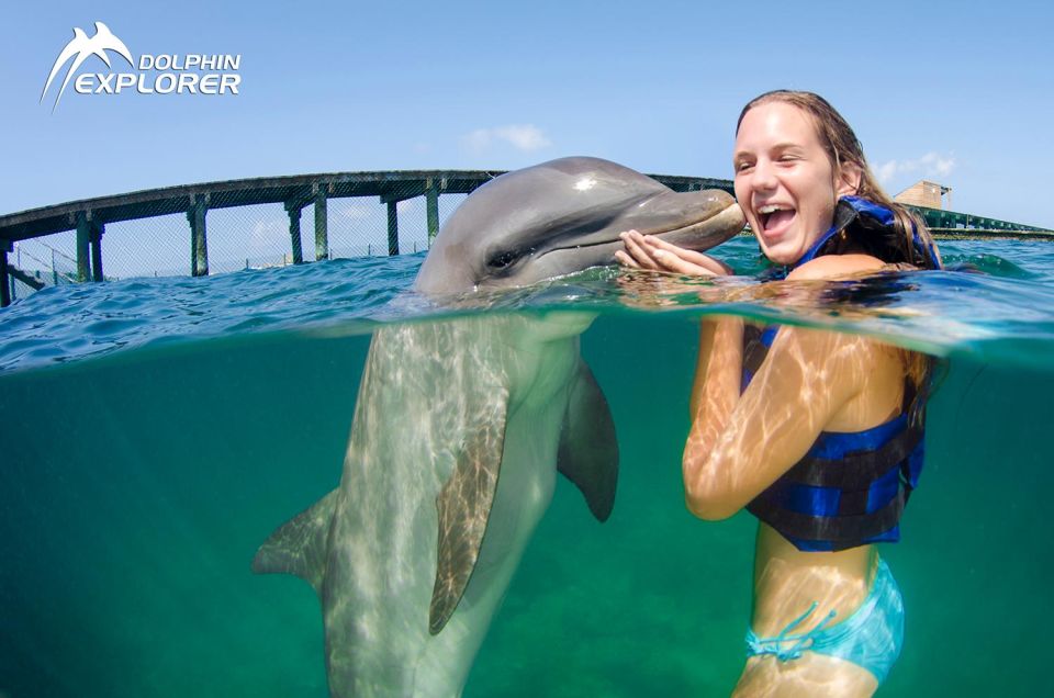 Swim With Dolphins in Punta Cana - Key Points