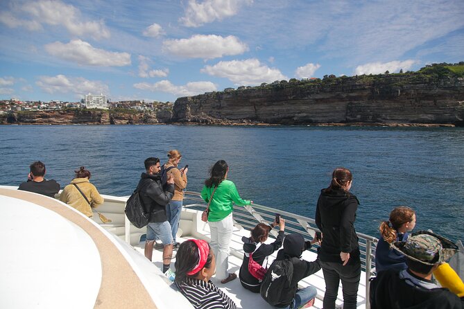 Sydney Circular Quay or Darling Harbour Whale-Watching Cruise (Mar ) - Booking Details