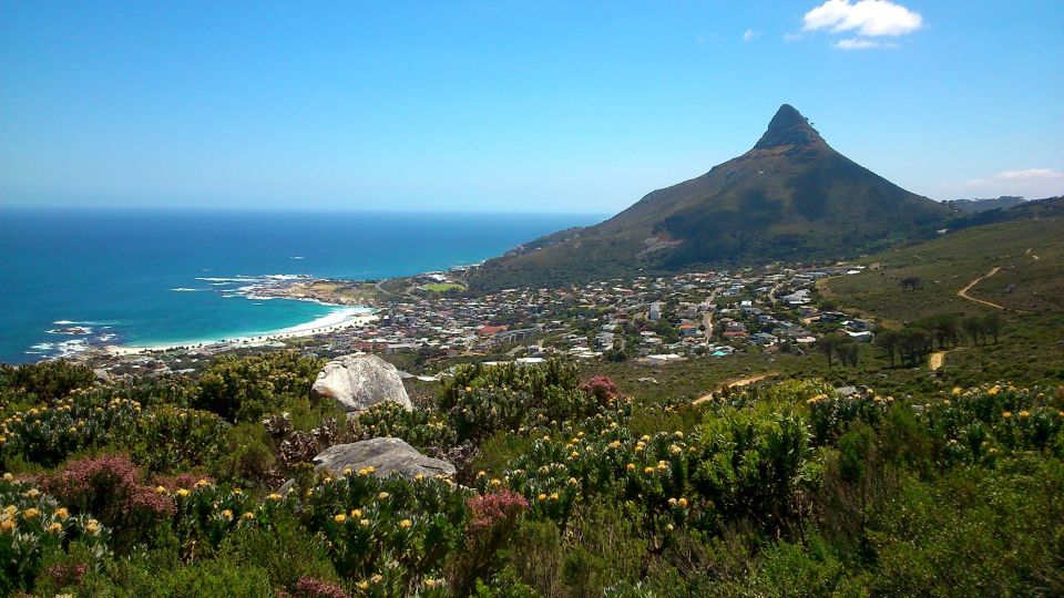 Table Mountain: Gentle Guided Meander for the Whole Family - Traveler Reviews