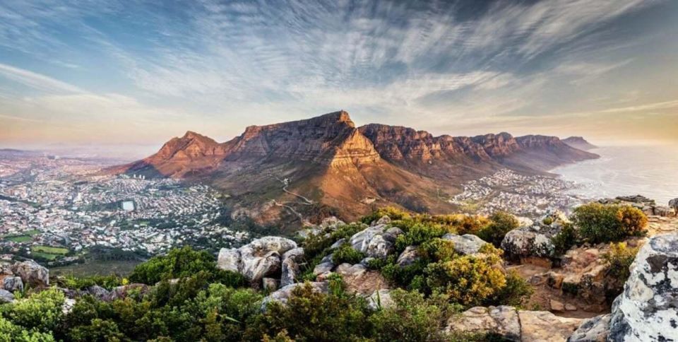 Table Mountain,Seals,Penguin,Cape of Good Hope,Bokaap , - Visiting the African Penguin Colony