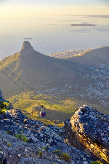 Table Moutain & Cape Peninsula: Full-day Tour - Explore Coastal Gems and Photo Stops