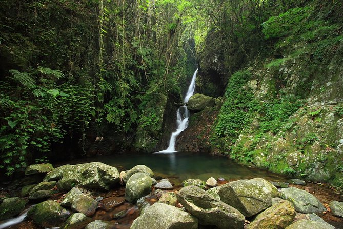 Tai Mo Shan Waterfall Adventure Hike - Booking Details and Assistance