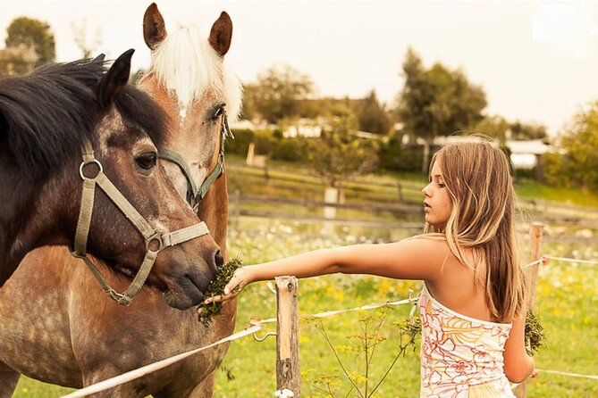 Tailored Fun and Private Photo Shoot in Vienna - Additional Information