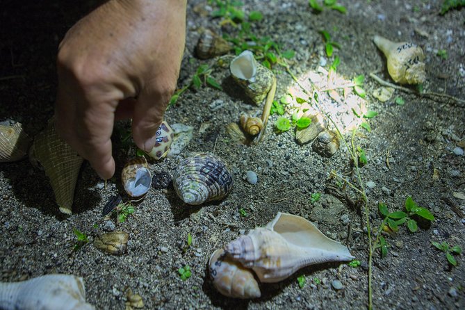 Taiwan Green Island Hermit Crab House Agency Experience Activities - Common questions