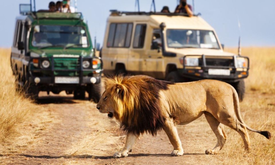 Tala Game Reserve & Natal Lion Park Full Day Tour Fr Durban - Natal Lion Park Highlights