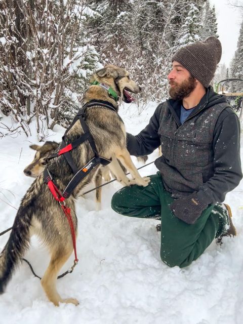 Talkeetna: Winter Dog Sled Tour Morning or Night Mush! - Logistics and Requirements