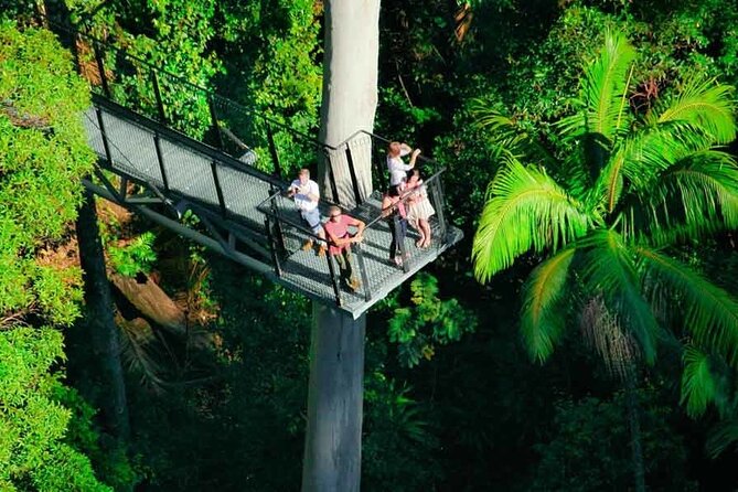 Tamborine Rainforest Skywalk Hop on Hop off Shuttle - Shuttle Service Features