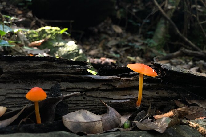 Taroko Wenshan Green Water Trail / Group of 4 - Participant Requirements