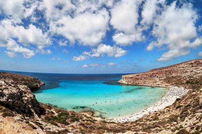 Taste of the Sea - Daily Boat Trip to Lampedusa - Spectacular Marine Life