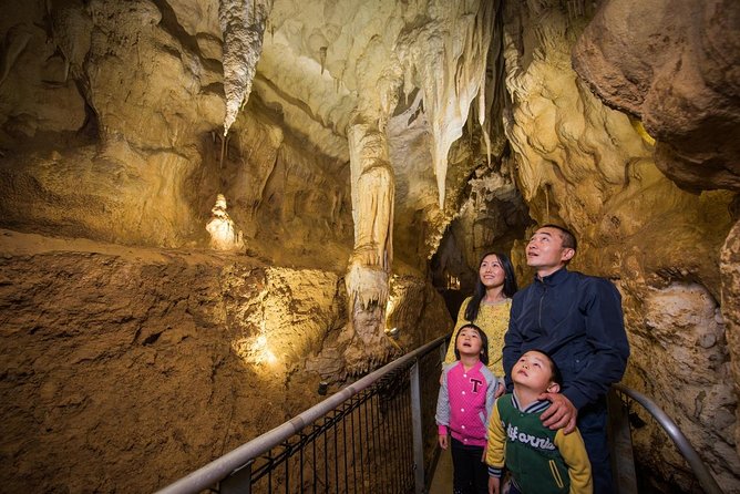 Tauranga Shore Excursion: Waitomo Caves and The Kiwi House - Cancellation Policy and Traveler Tips