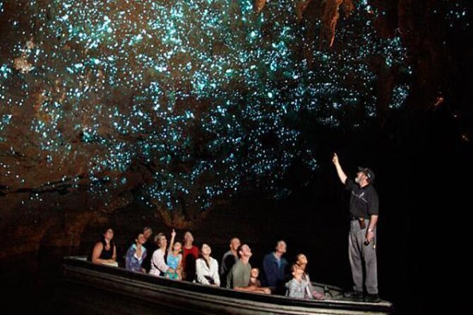 Te Anau Glow Worm Caves Tour - Additional Information