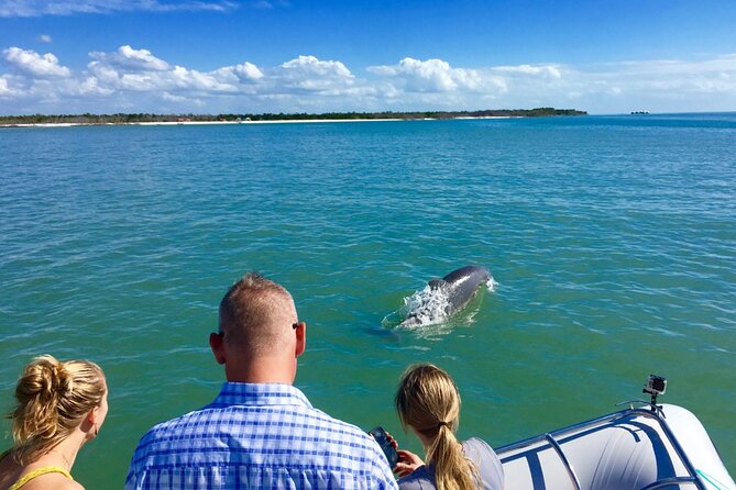 Ten Thousand Islands Boat Tour up to 12 People - Snorkeling and Swimming Details