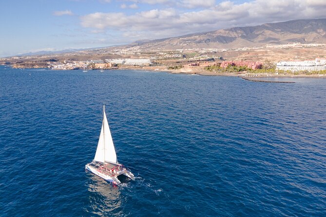 Tenerife Half-Day Dolphin-Watching and Swimming Boat Tour - Cancellation Policy