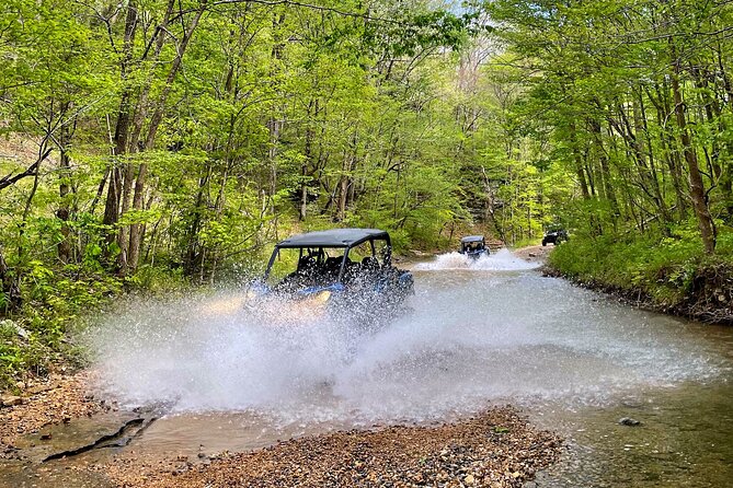Tennessee Back Country 3 Hour Guided SXS Ride - Reviews and Pricing Insights