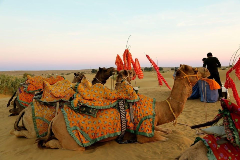 Thar Desert Adventures - Accommodations
